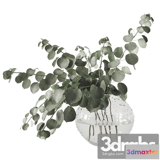 1059690 - Eucalyptus bouquet - No.2