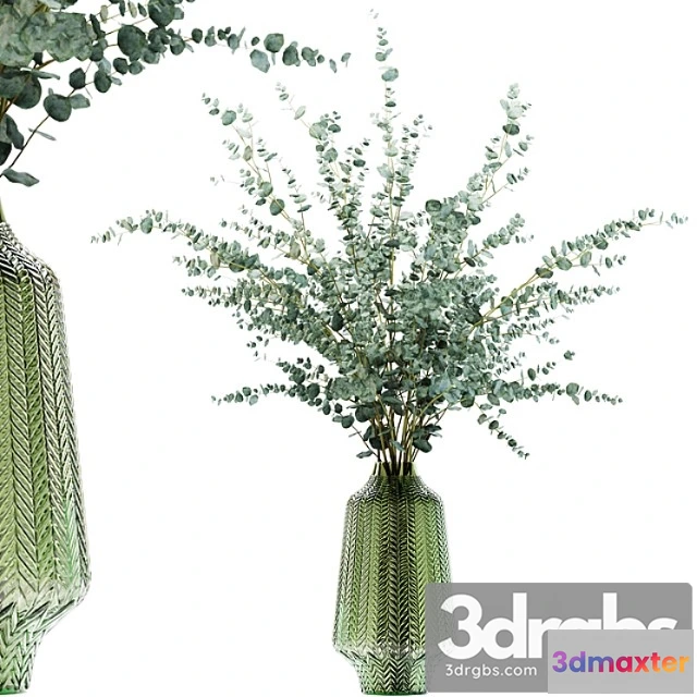 1059692 - Eucalyptus branches in a green vase