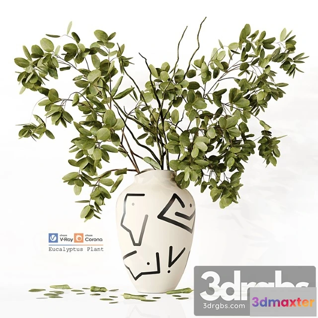 1059694 - Eucalyptus plant