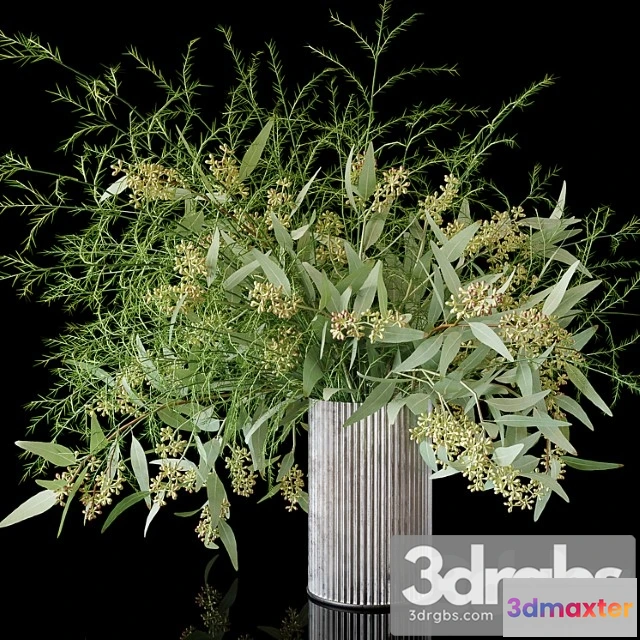 1059696 - Eucalyptus