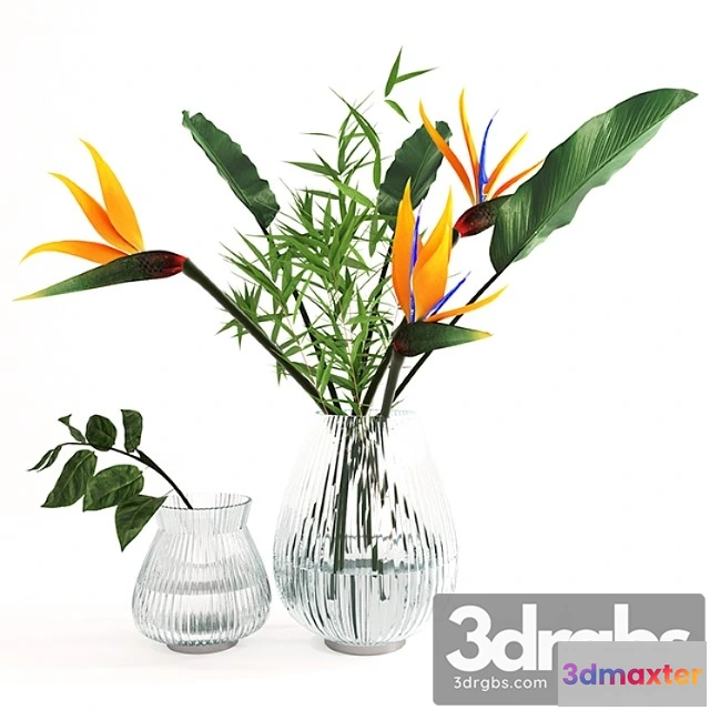 1059698 - Exotic bouquet- strelitzia