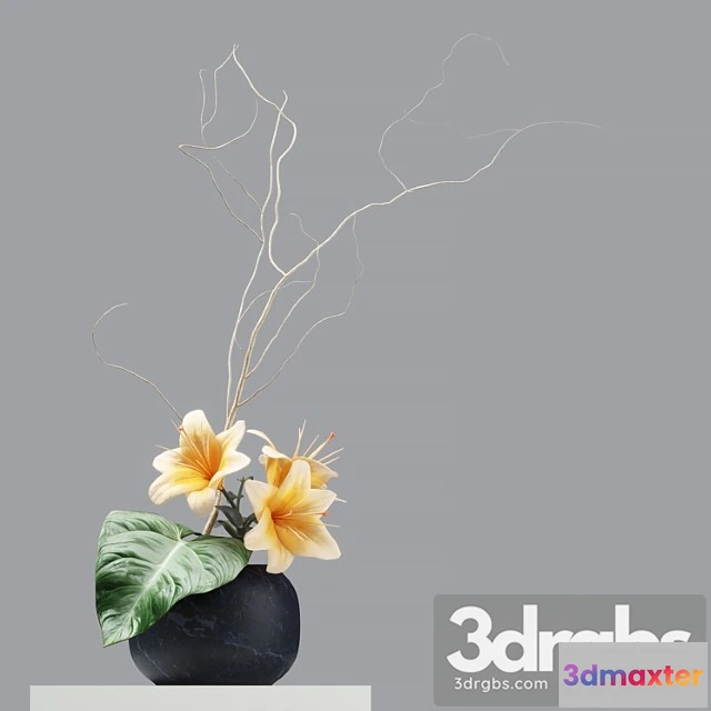 1059706 - Flower 01 - No.2