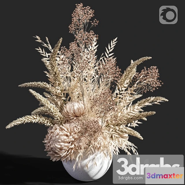 1059708 - Flower 04 dry flowers