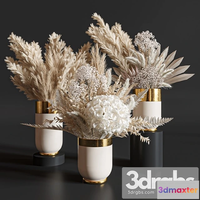 1059740 - Flower set 010 pampas.