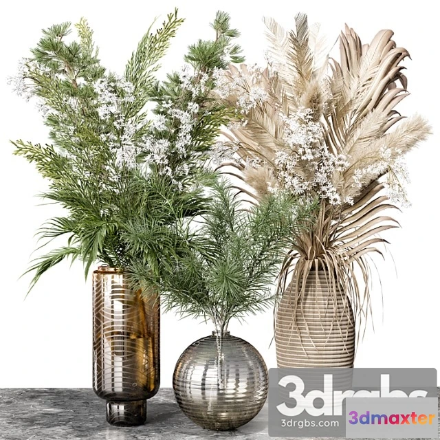 1059822 - Indoor plant 04