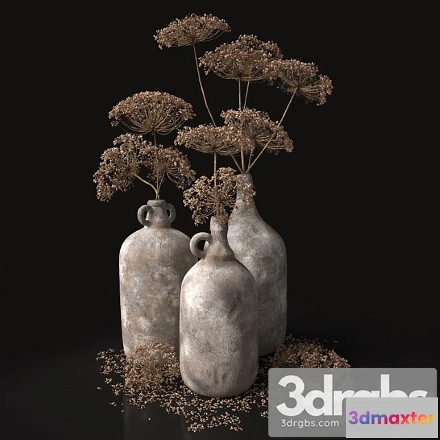 1059844 - Jugs with dry dill stalks