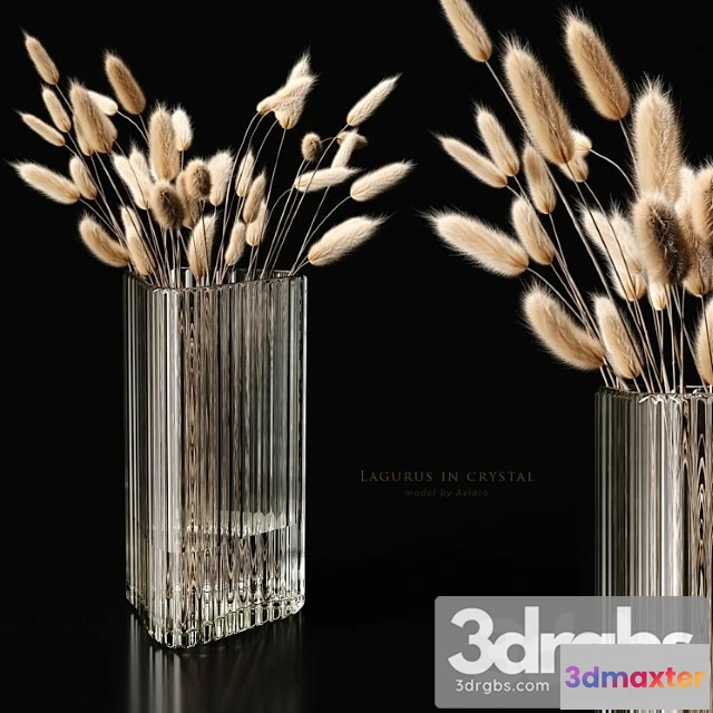 1059852 - Lagurus in crystal