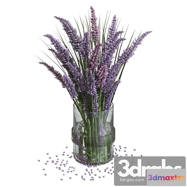 1059854 - Lavender bouquet
