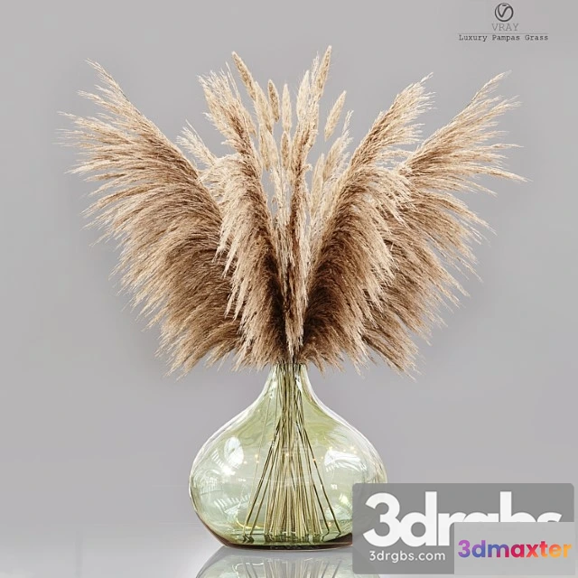 1059860 - Luxury pampas grass