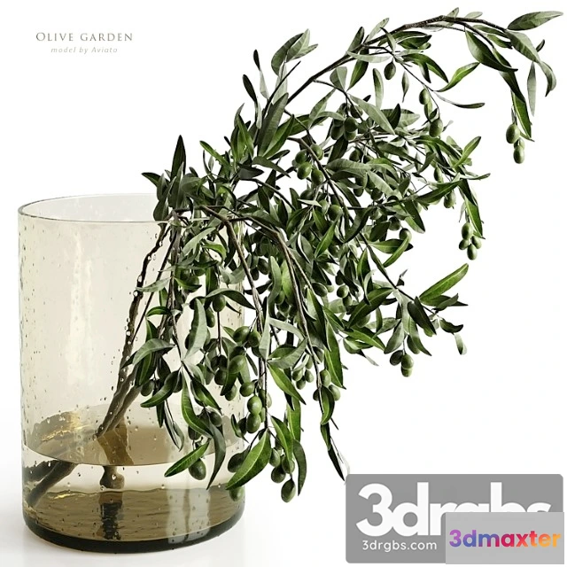 1059878 - Olive garden