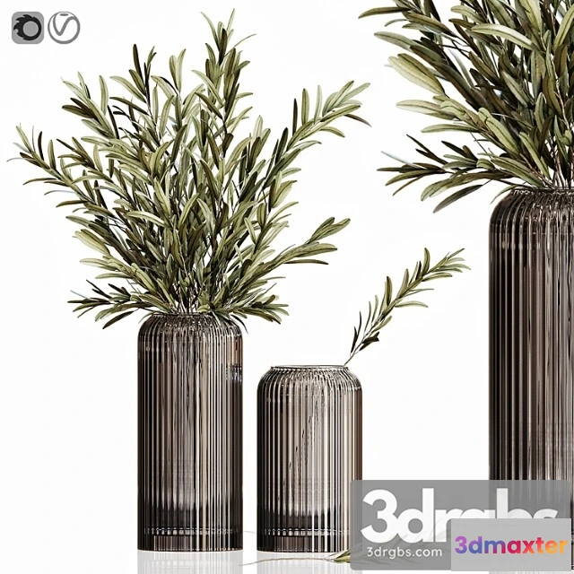 1059890 - Olives in vases 3