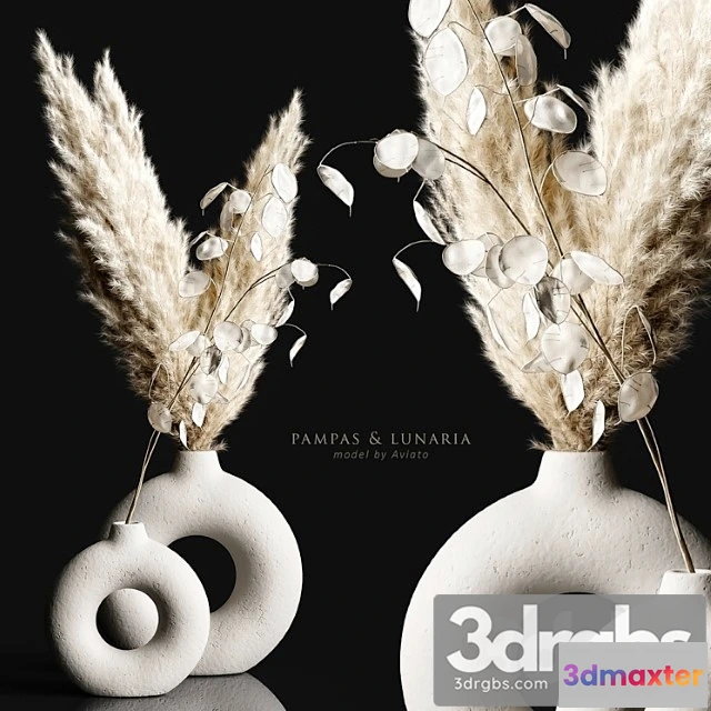 1059896 - Pampas & lunaria