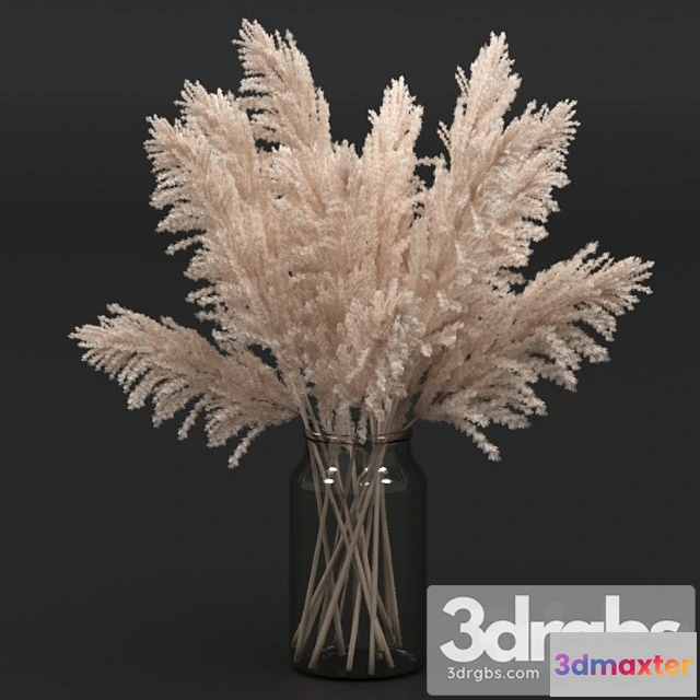 1059900 - Pampas bouquet