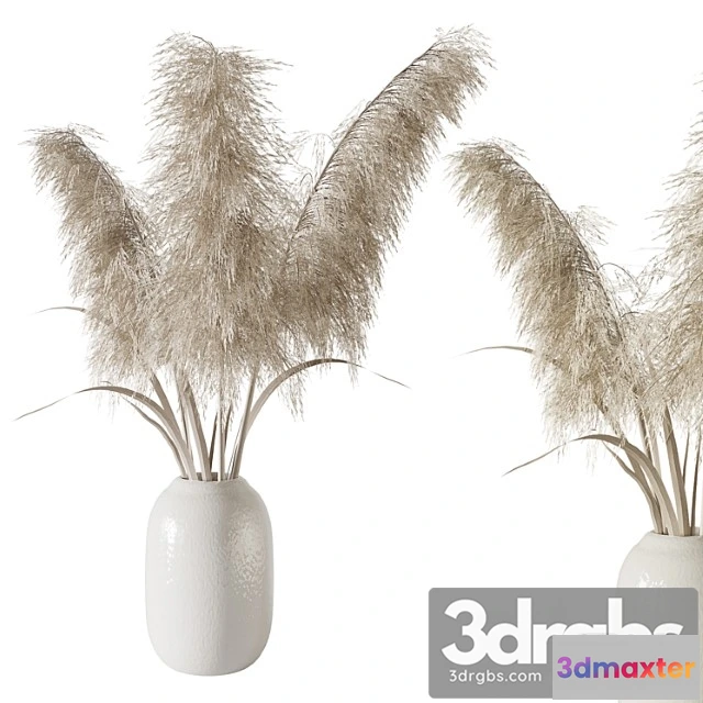 1059910 - Pampas grass bouquet - No.2