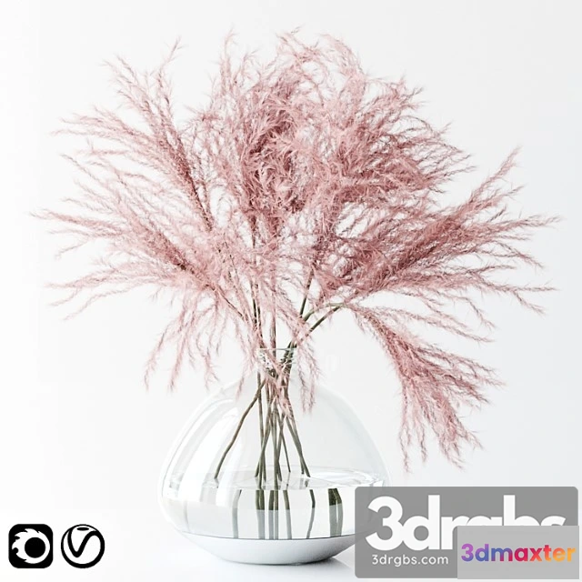 1059930 - Pink pampas