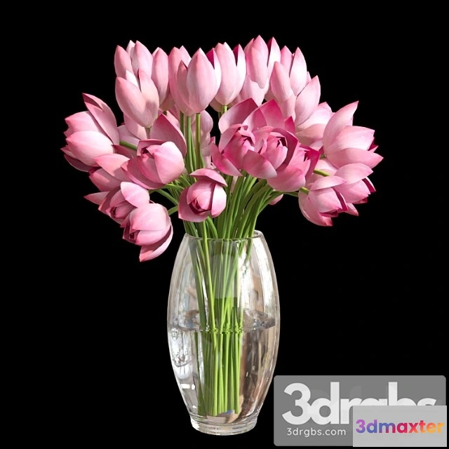 1059936 - Plant Lotus vase