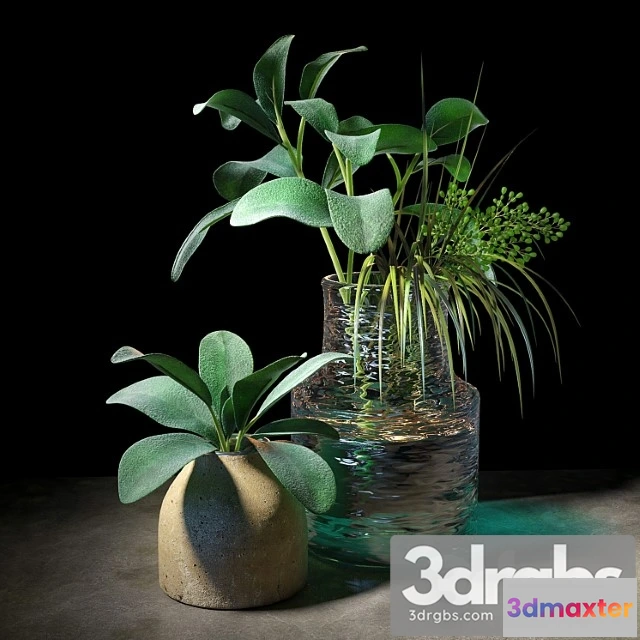 1059938 - Plant set 04