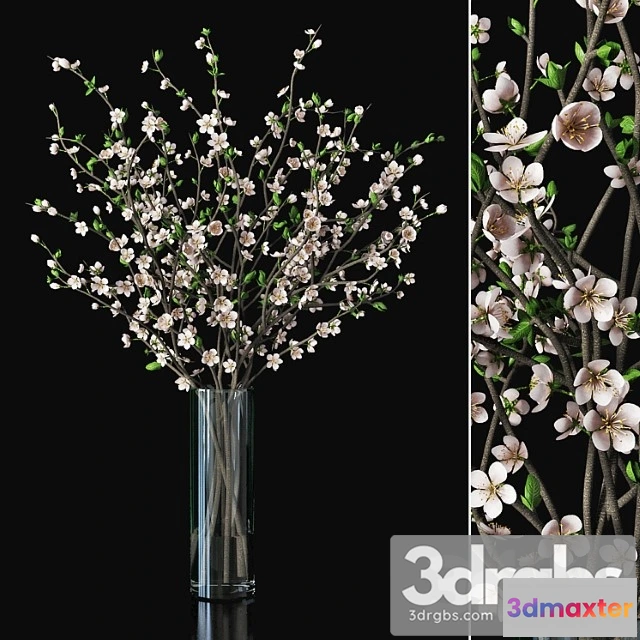 1059984 - Plum blossom 03