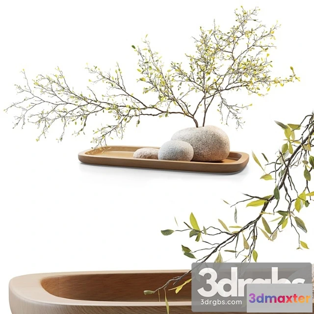 1059986 - Plum branch in a stone vase