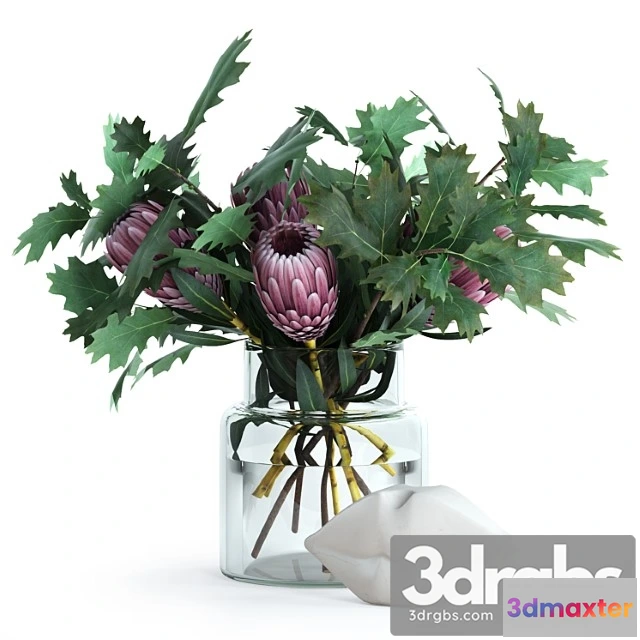 1059990 - Protea & oak leaves