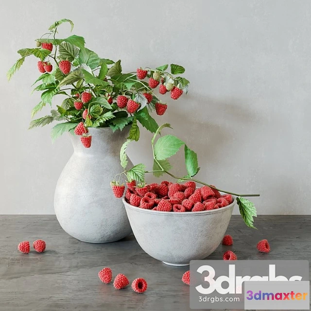 1059992 - Raspberries