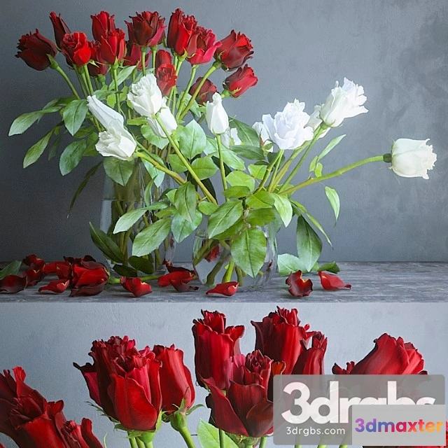1059994 - Red and white roses