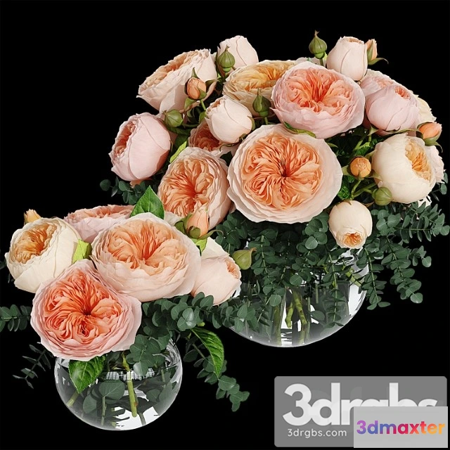 1059998 - Rosa juliet