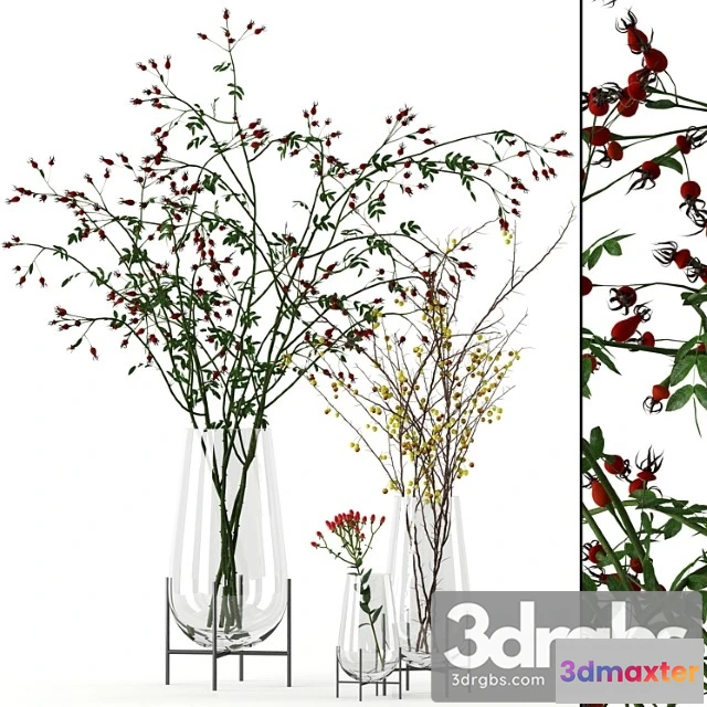 1060030 - Twigs in echasse vases