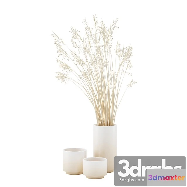 1060034 - Vase set with dry grass