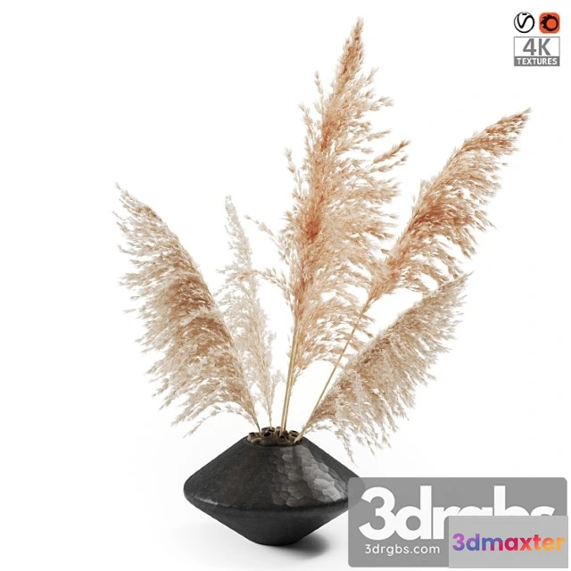 1060036 - Vase with dried plants