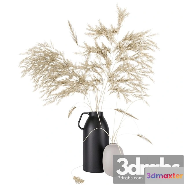 1060040 - Vases set by h & m with pampas grass