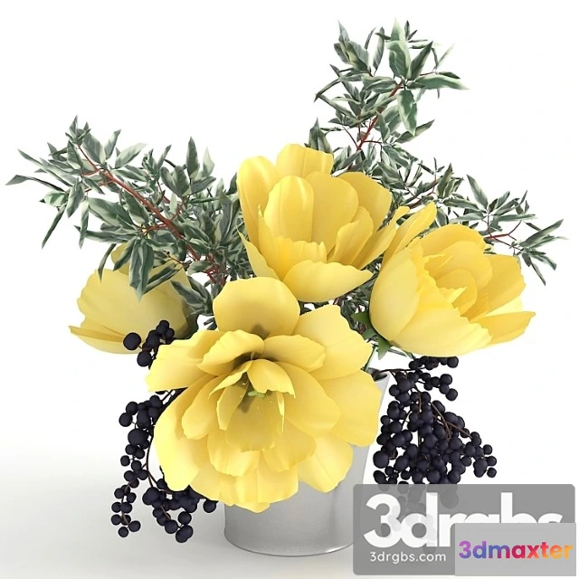 1060062 - Yellow tulips and grapes