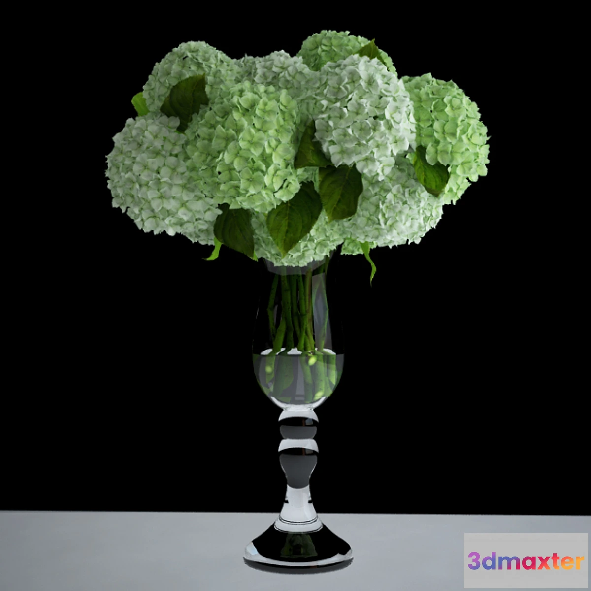 1269873 - White hydrangea 3D Max