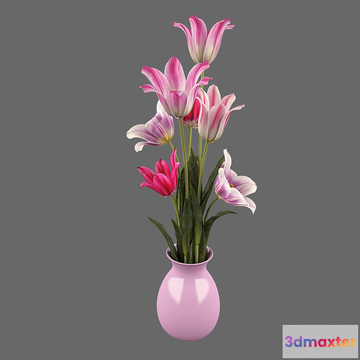 1270175 - Tulips 3D Max
