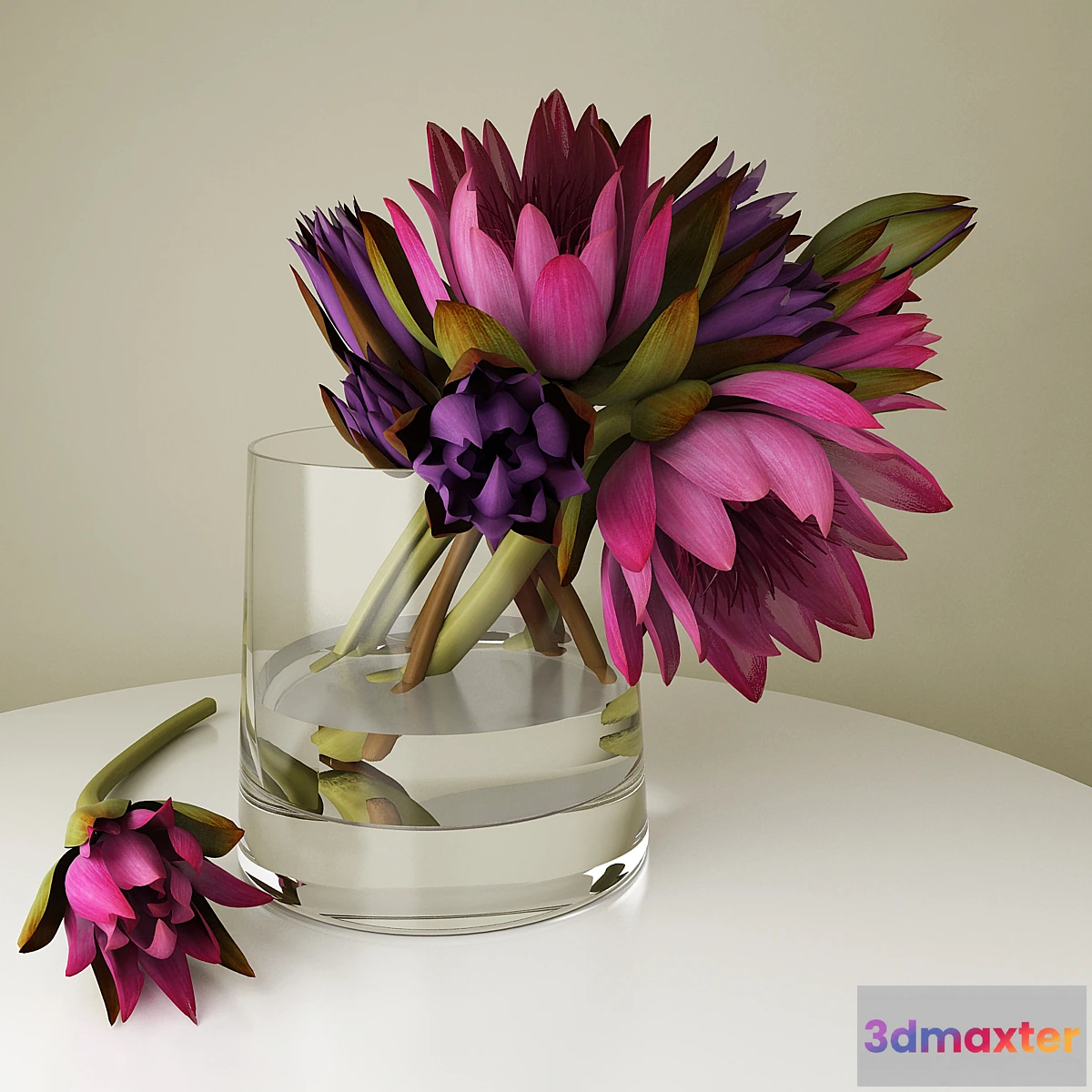 1270511 - lotuses - No.2 3D Max