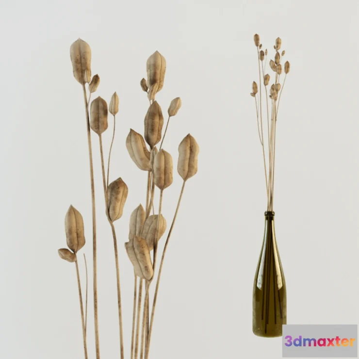 1271983 - ekibana 3D Max