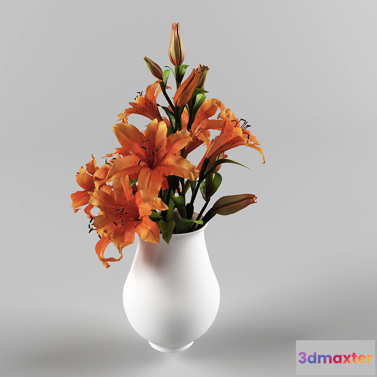 1275668 - lily 3D Max