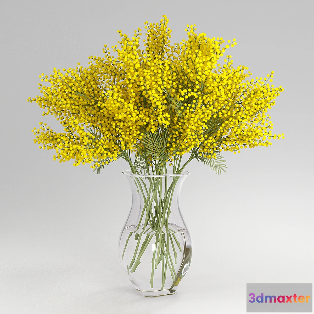 1276070 - mimosa 3D Max