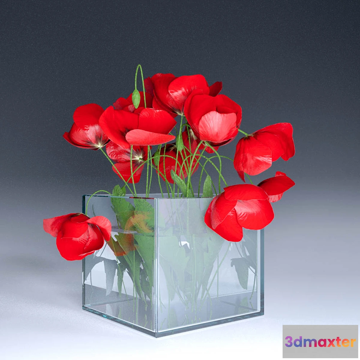 1277026 - Poppies 3D Max