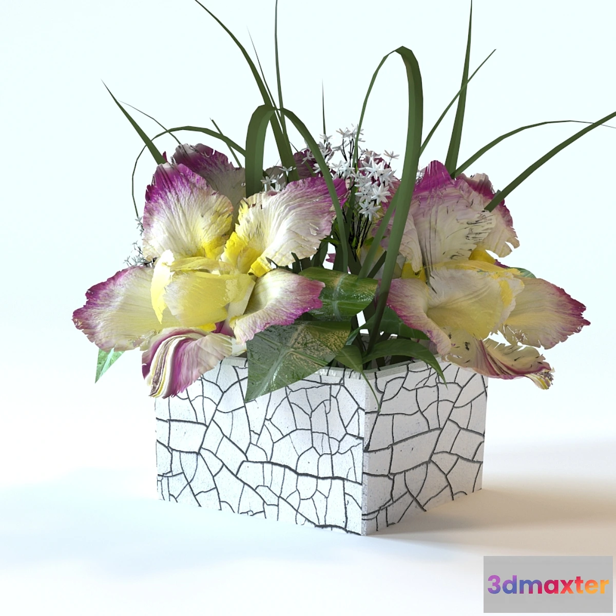 1277194 - flowers in a square vase 3D Max