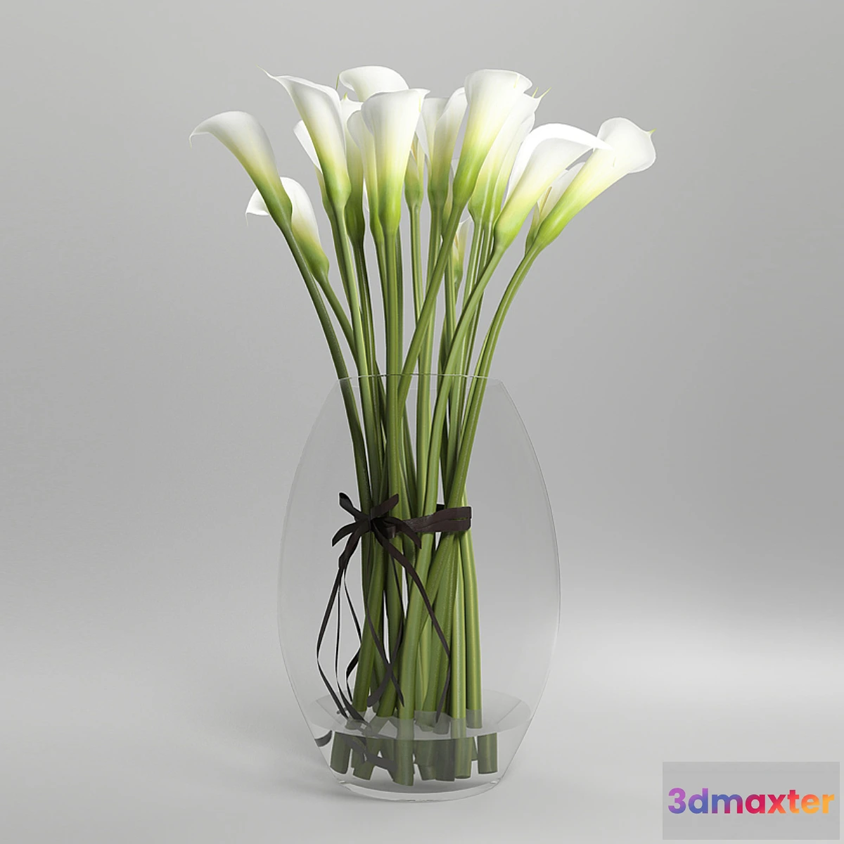 1279152 - Callas 3D Max