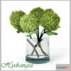 1280282 - Hydrangea 3D Max