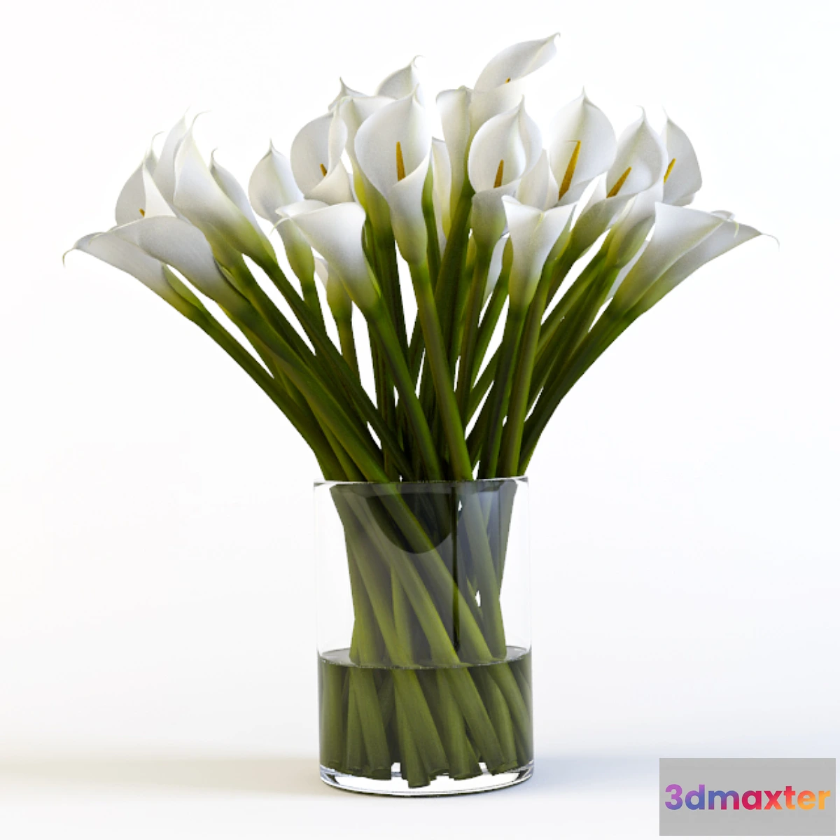 1284440 - Callas - No.2 3D Max