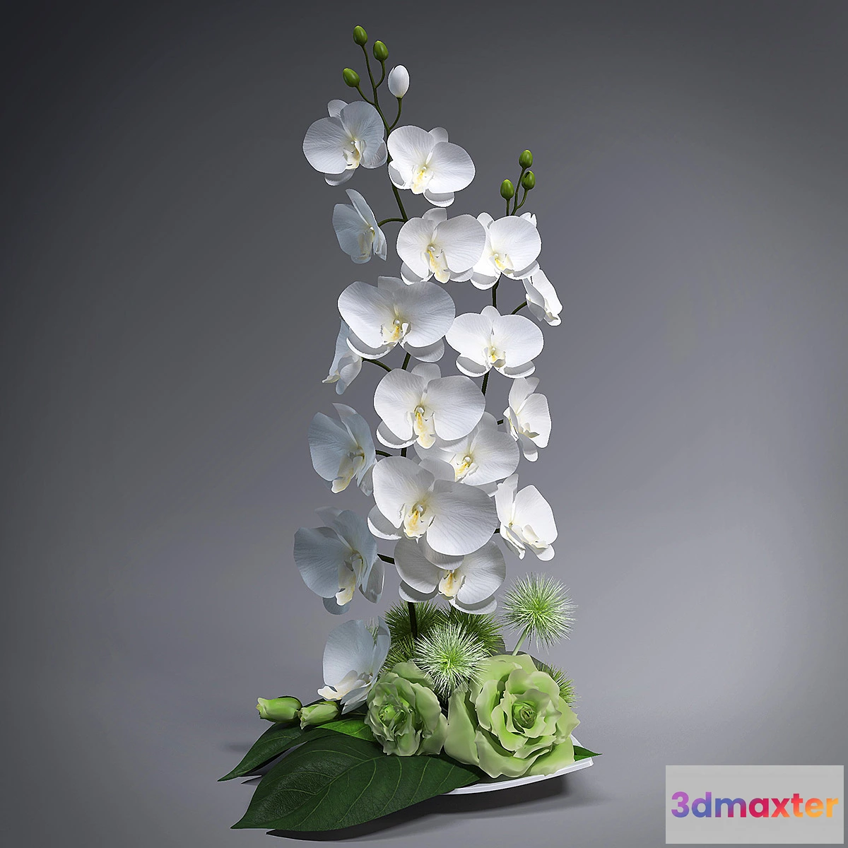 1286542 - Ikebana with orchids 3D Max