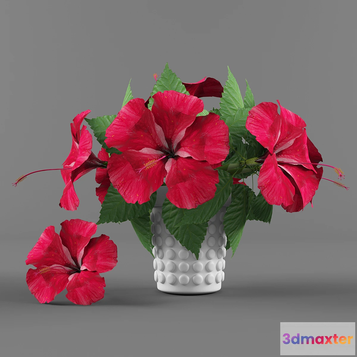 1286560 - Flowers vase and Hibiscus 3D Max