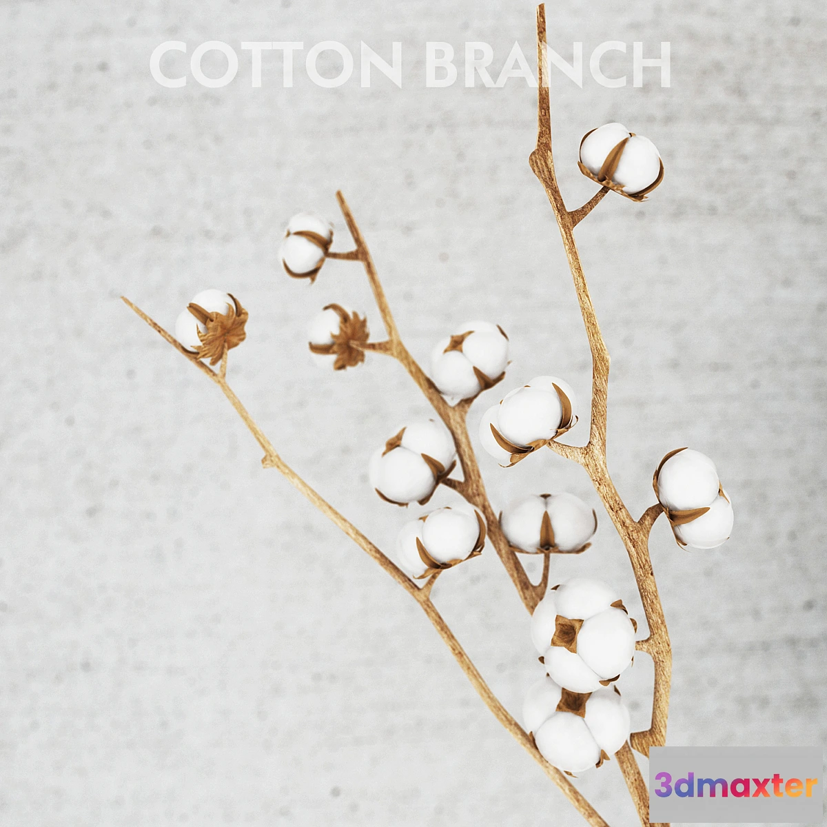 1288816 - cotton threads 3D Max