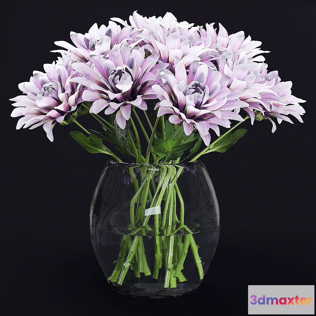 1289734 - Chrysanthemums 3D Max