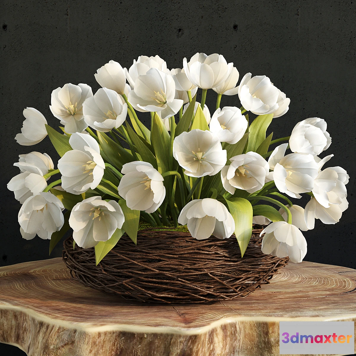 1291157 - spring tulips in the nest 3D Max