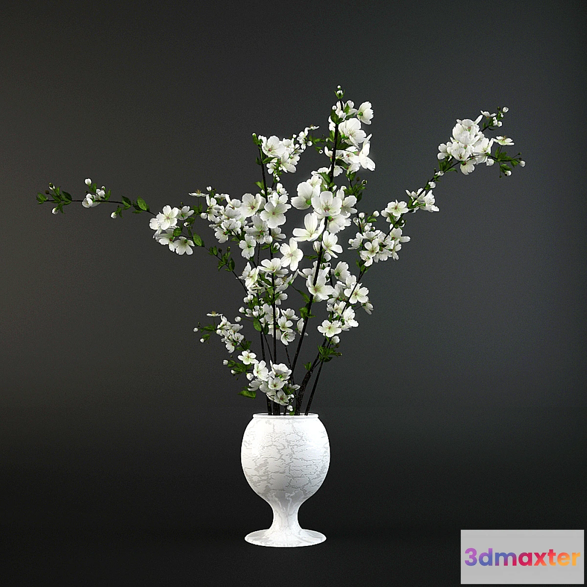 1291443 - Cherry 3D Max