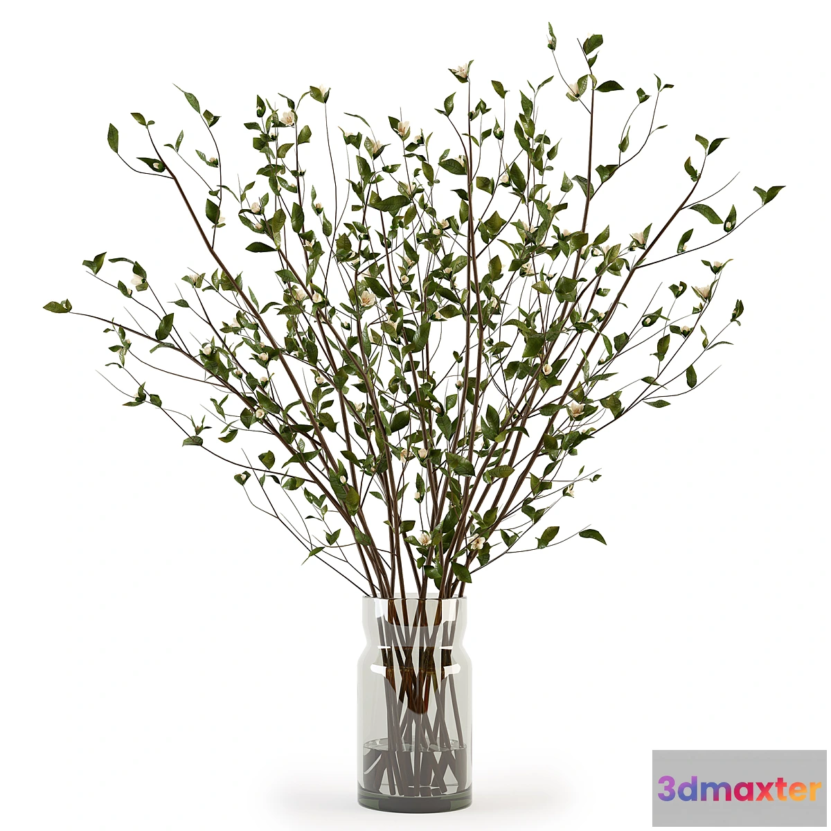 1294793 - Branches in a Vase 009 - No.2 3D Max